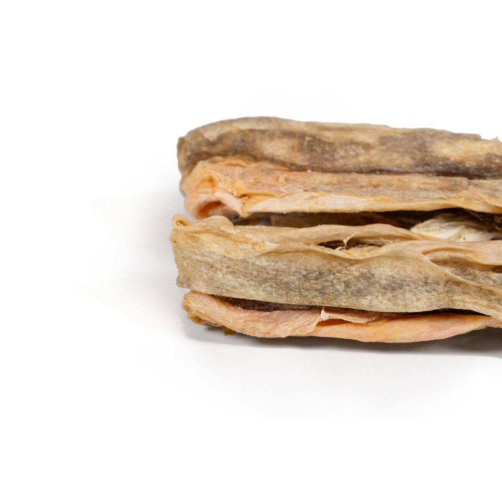 Wet food Snackys Fish 70 g