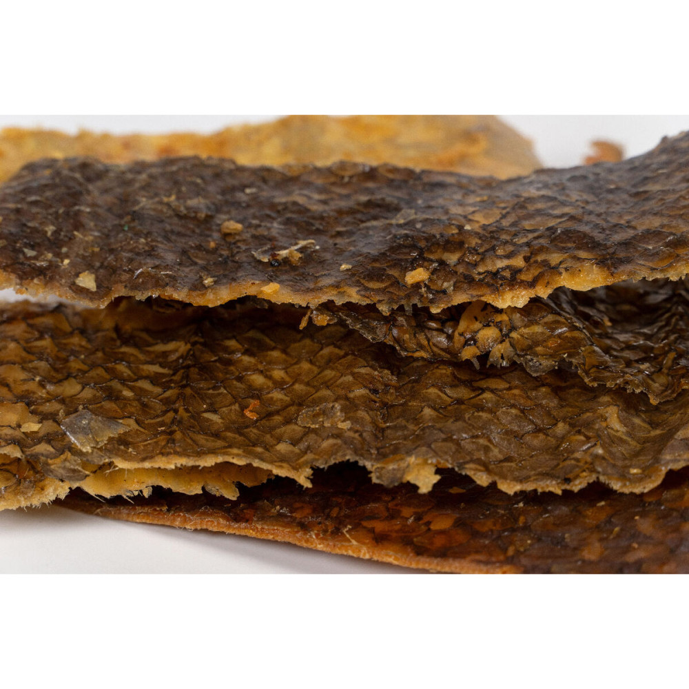 Wet food Snackys Fish 70 g