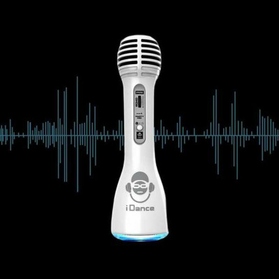 Karaoke Microphone