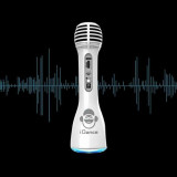 Karaoke Microphone