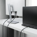 VGA Cable Startech DP14MDPMM10F Black 3 m