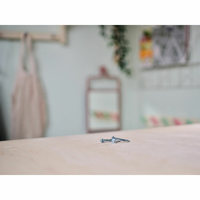 Wall plugs and screws Rapid Ø 8 x 46 mm M4 x 55 mm Metal Expansion 10 Units