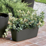 Plant pot Deroma