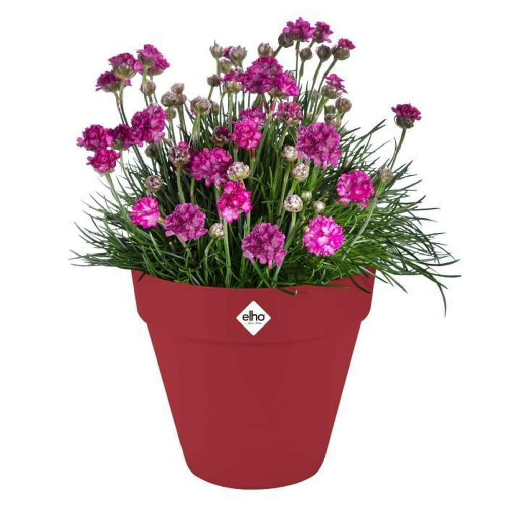 Plant pot Elho