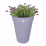 Plant pot Elho