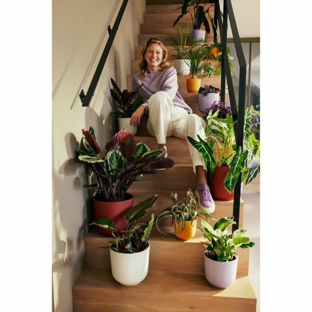 Plant pot Elho Red Plastic Circular