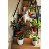 Plant pot Elho Red Plastic Circular