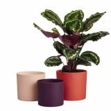 Plant pot Elho