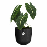 Plant pot Elho