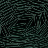 Concealment Mesh Nature Green