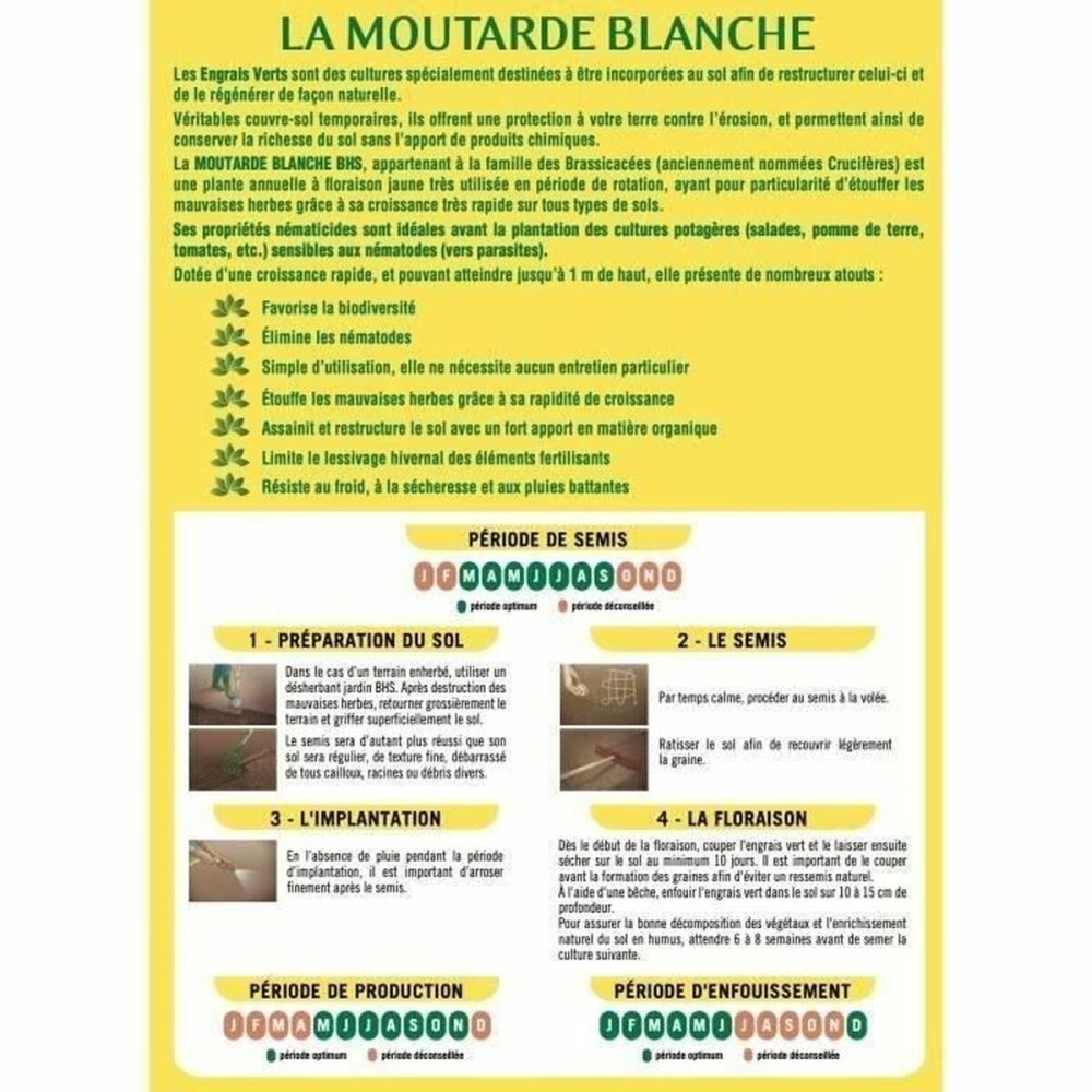 Plant fertiliser BHS 500 g