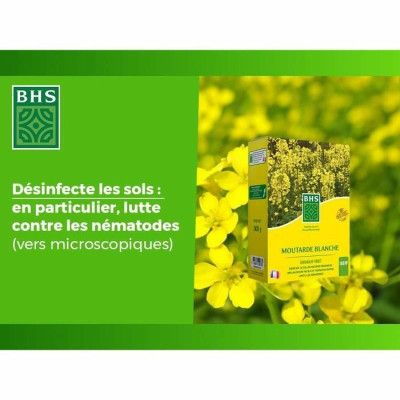 Plant fertiliser BHS 500 g