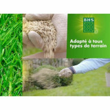 Seeds BHS 1 kg