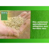 Seeds BHS 3 Kg