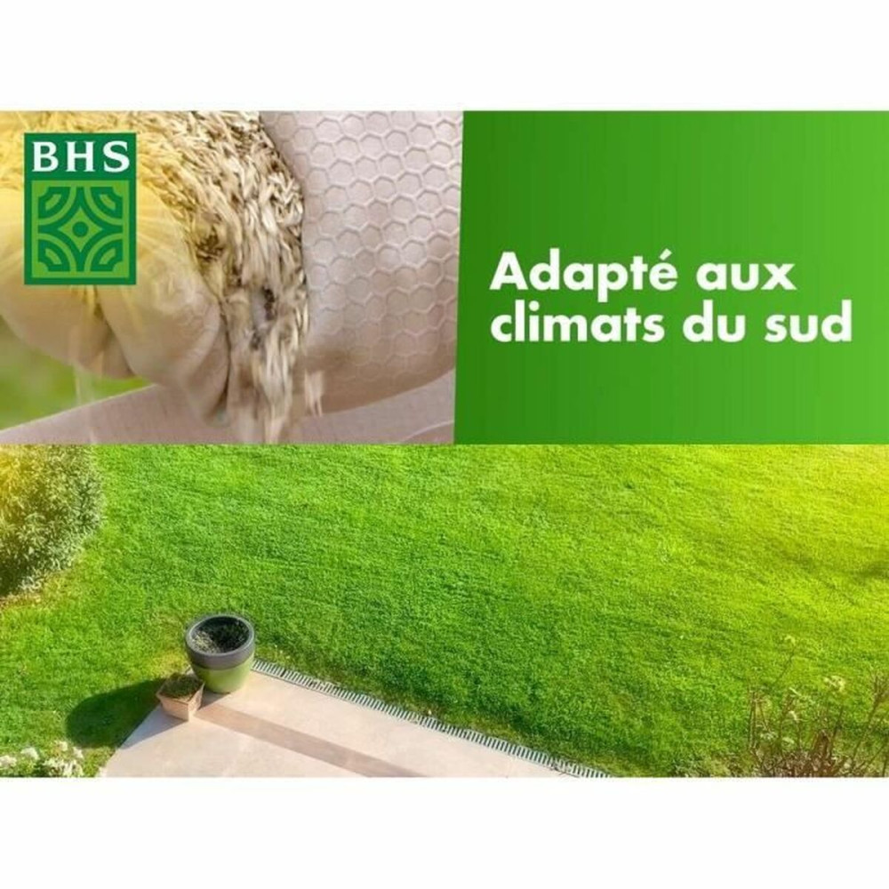 Seeds BHS 10 kg