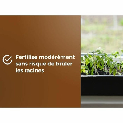 Potting compost OR BRUN 6 L