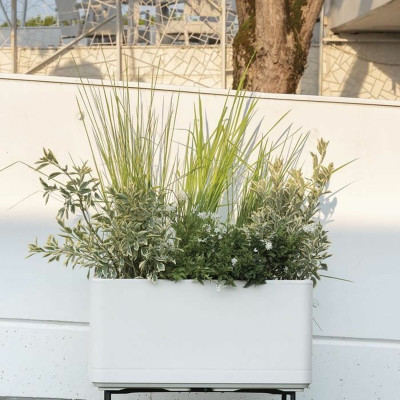 Self-watering planter Deroma Pearl 78 x 38 x 39 cm Plastic Rectangular Ø 78 cm