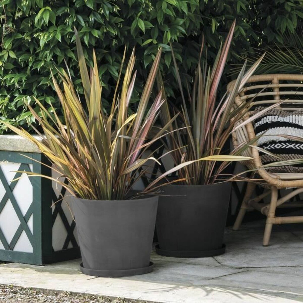 Flower Pot Dish Deroma