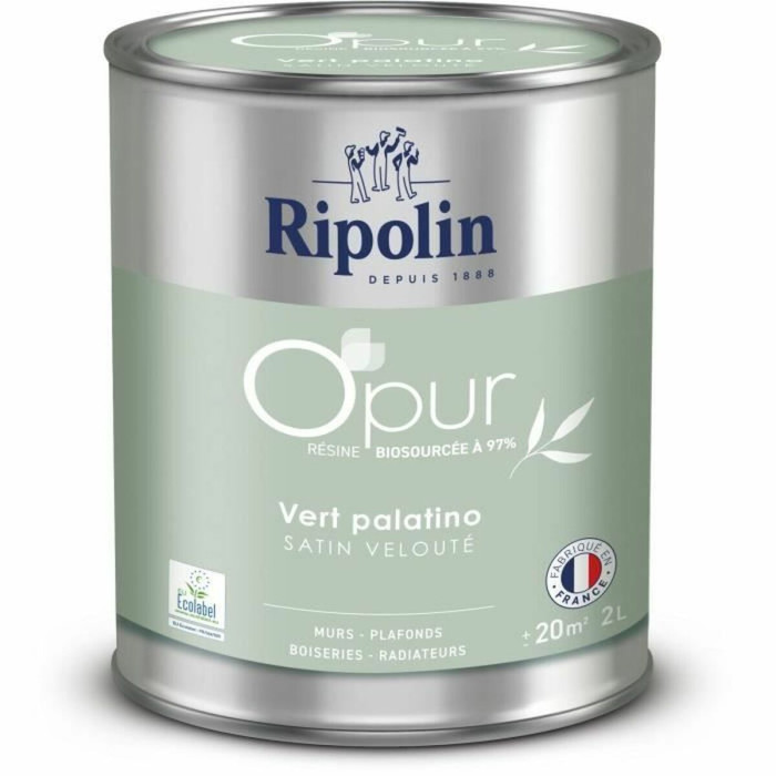 Primer Paint Ripolin
