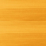 Varnish Bondex Jaune Satin finish 5 L