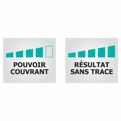 Paint Ripolin White Matt 10 L