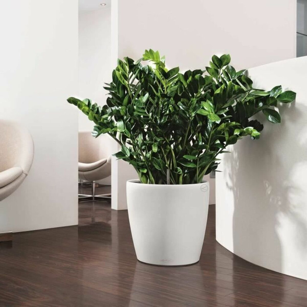 Plant pot Lechuza White polypropylene Circular