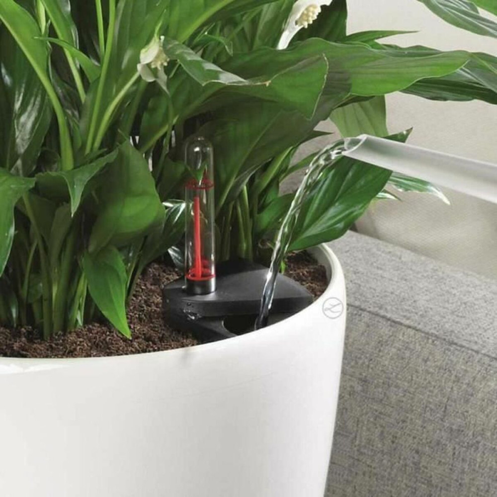 Plant pot Lechuza White polypropylene Circular