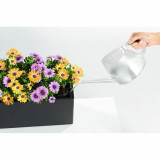 Plant pot Lechuza Brown Black polypropylene