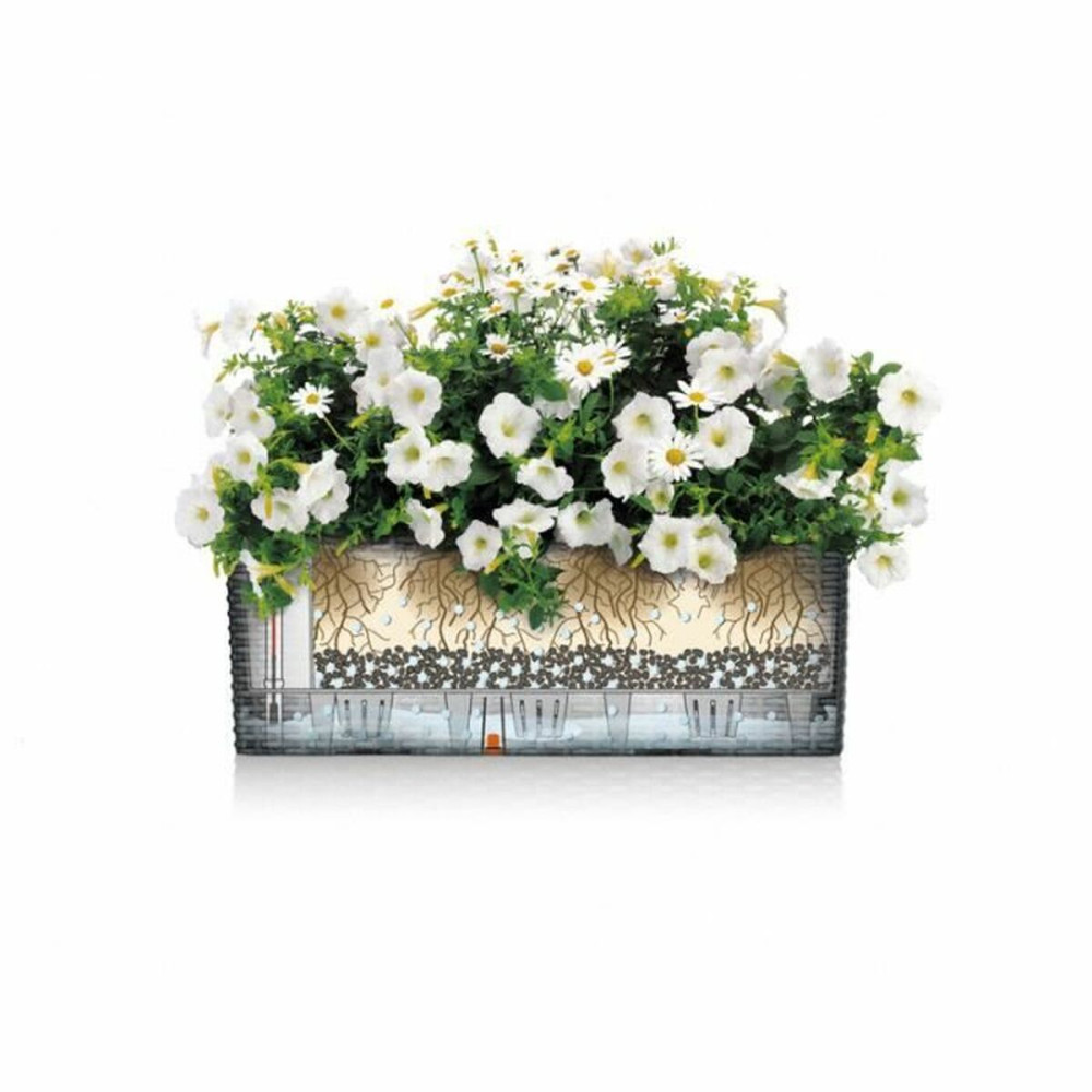 Plant pot Lechuza Brown Black polypropylene