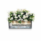 Plant pot Lechuza Brown Black polypropylene