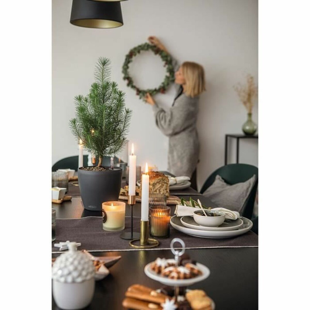 Plant pot Lechuza Grey polypropylene Circular