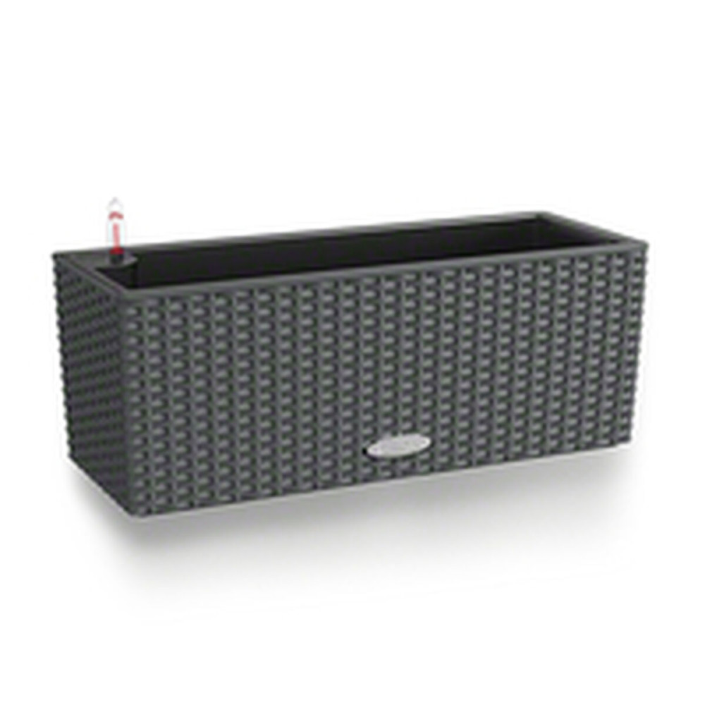 Plant pot Lechuza Black Grey polypropylene