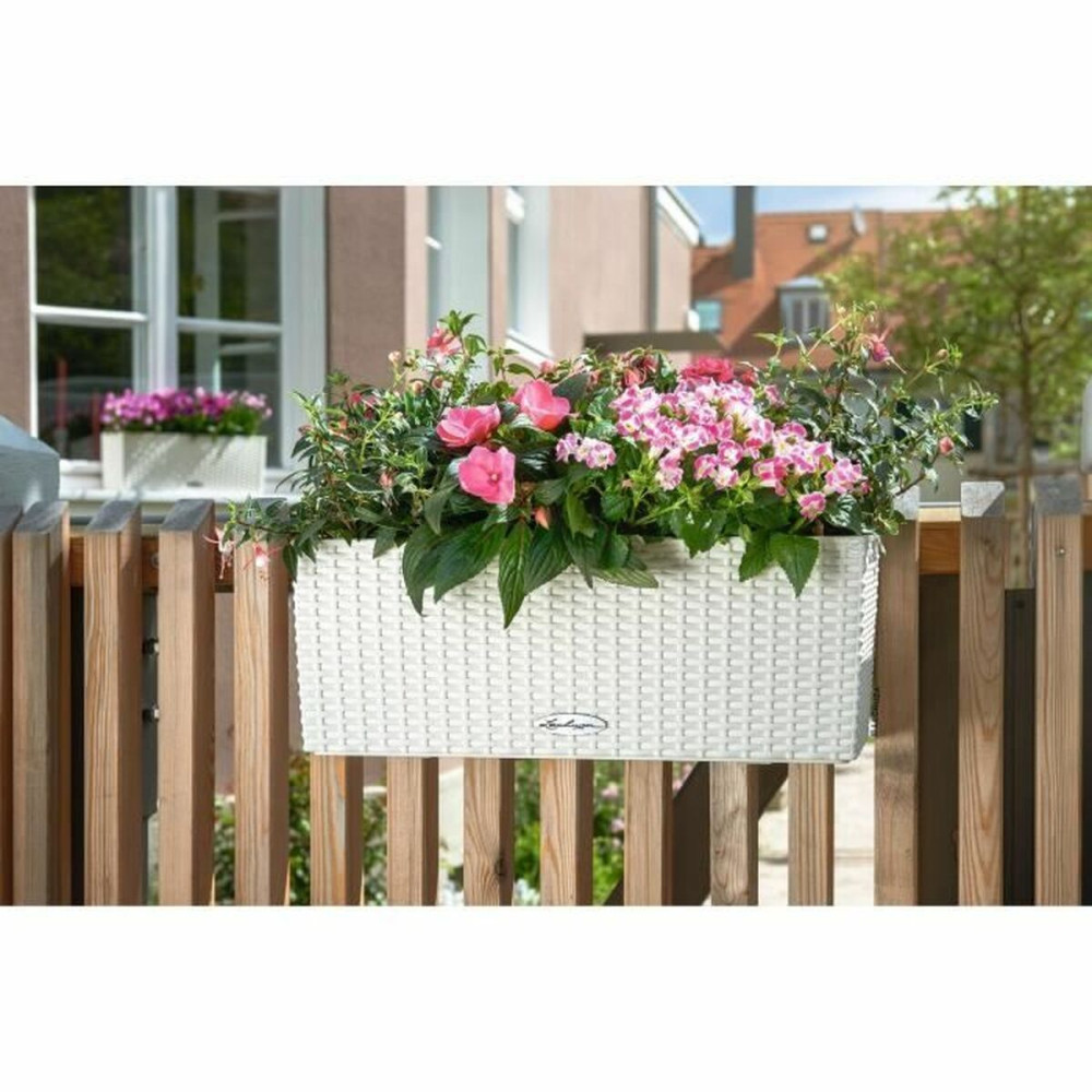Plant pot Lechuza White Black polypropylene
