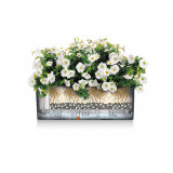 Plant pot Lechuza Black Grey polypropylene