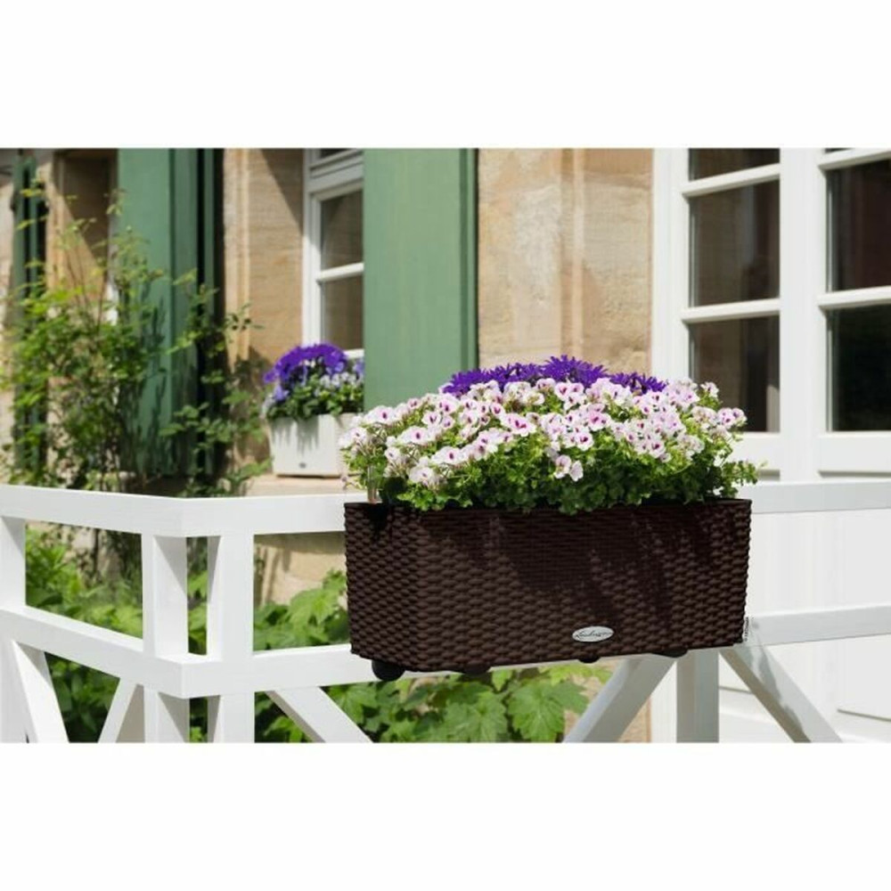 Plant pot Lechuza Brown Black polypropylene