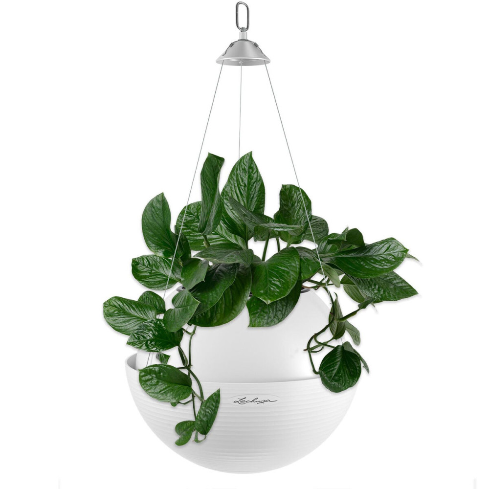 Plant pot Lechuza White Plastic