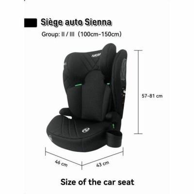 Car Chair Nania Black ECE R129/04