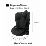 Car Chair Nania Black ECE R129/04