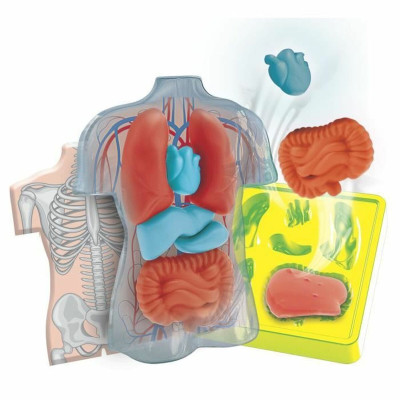 Interactive Toy for Babies Clementoni