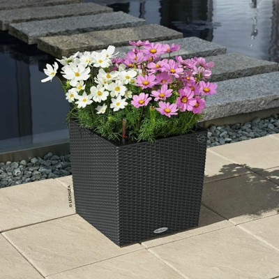 Plant pot Lechuza Black Grey polypropylene