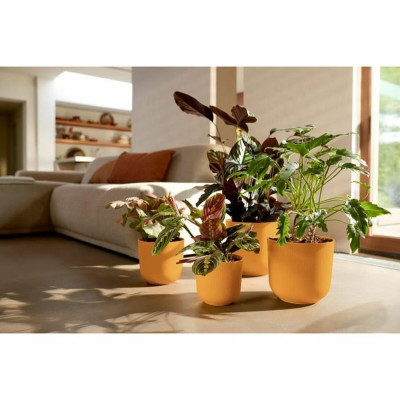 Plant pot Elho