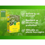 Seeds BHS Trèfle Blanc 500 g