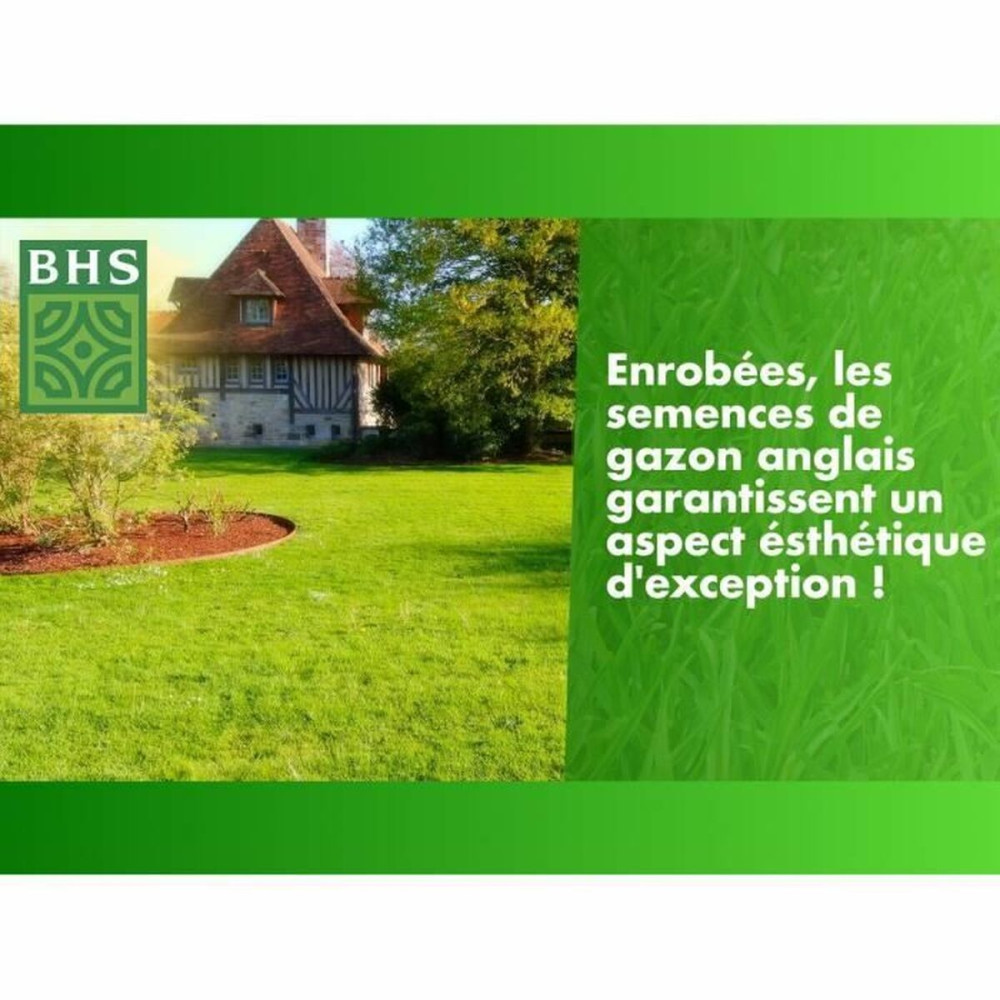 Seeds BHS Gazon Anglais 10 kg
