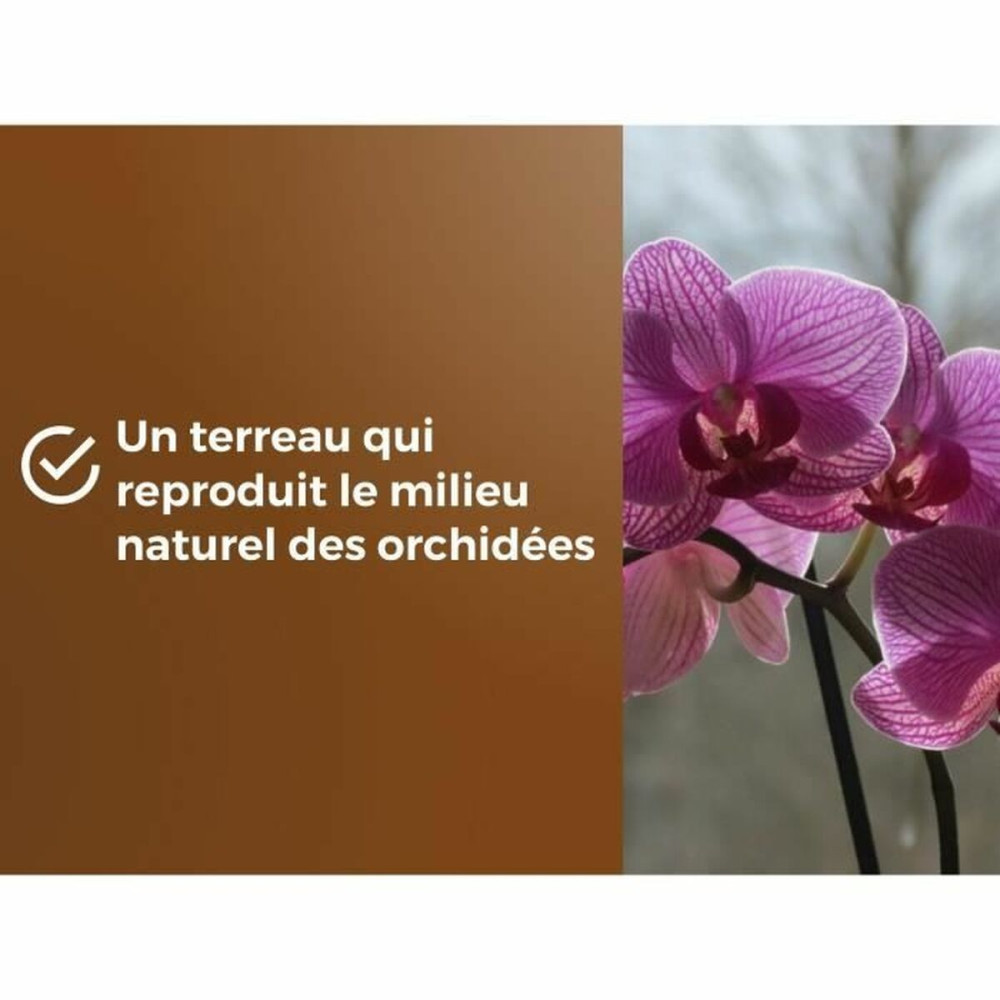 Potting compost OR BRUN 6 L