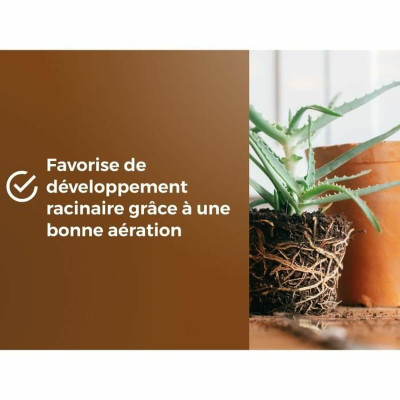 Potting compost OR BRUN 6 L