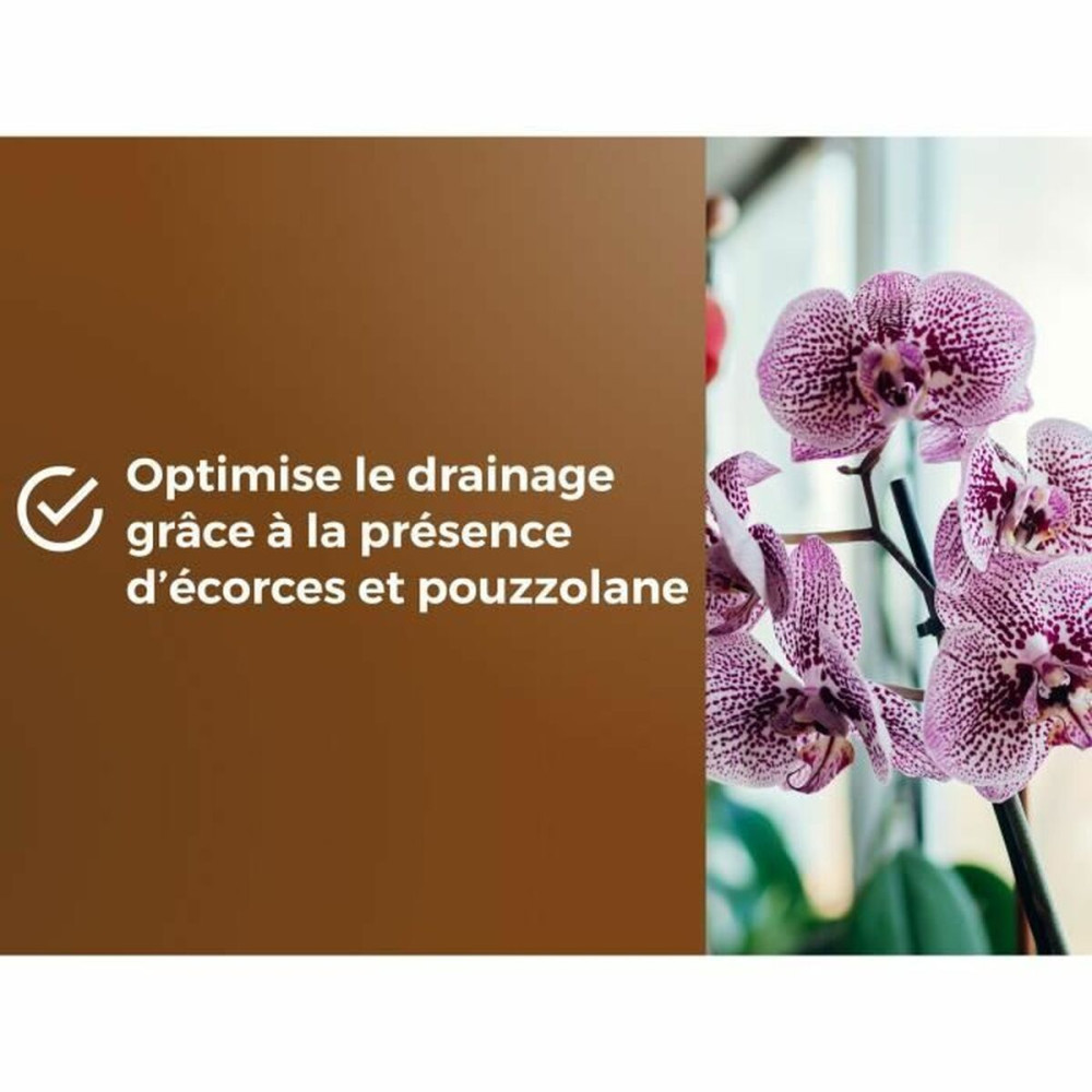 Potting compost OR BRUN 6 L