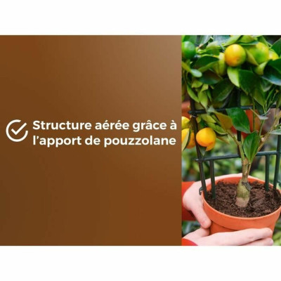 Potting compost OR BRUN 6 L Citrus