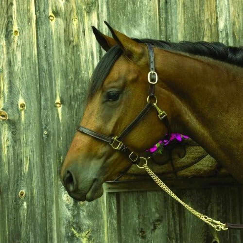 Ladies' Ring Majorica 17218.01.1.913.010.1