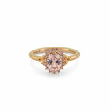 Ladies' Ring 24KAE 12448Y/54