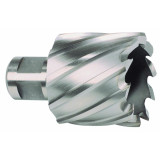 Hollow drill bit RUKO 33 mm Weldon